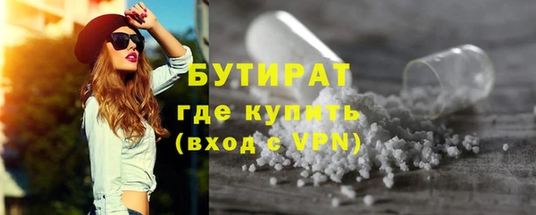 индика Богородск