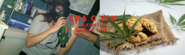 индика Богородск