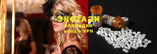 индика Богородск
