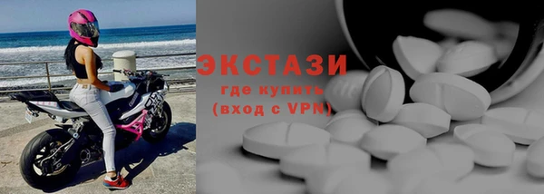 индика Богородск