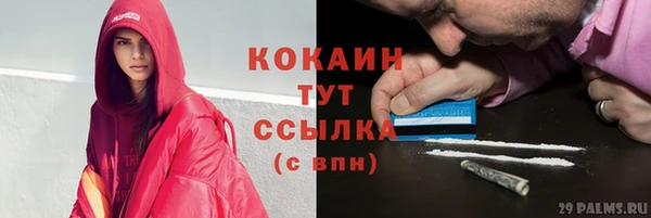 a pvp Богородицк