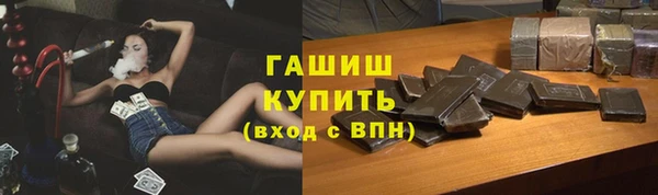 индика Богородск