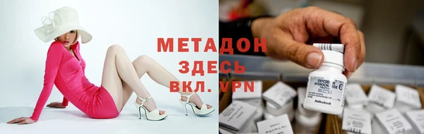 индика Богородск