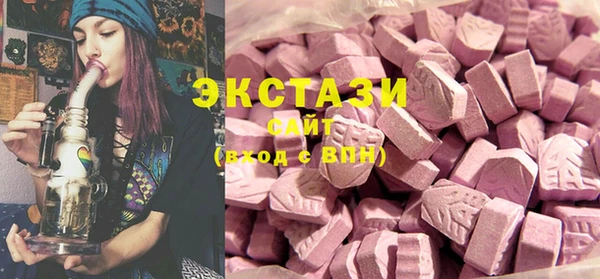 индика Богородск