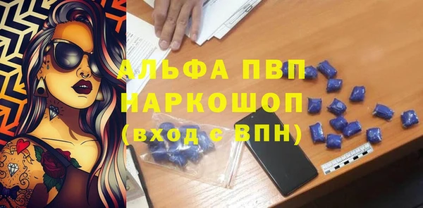 индика Богородск
