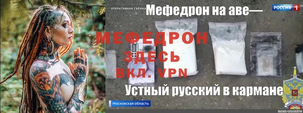 индика Богородск