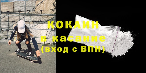 индика Богородск