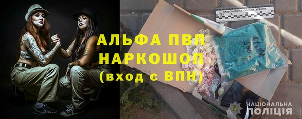 индика Богородск