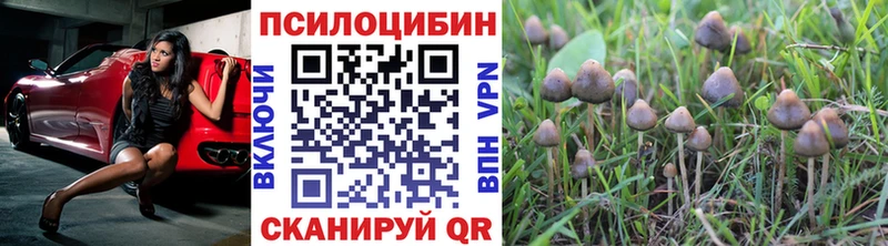 Купить где  Шарыпово  Галлюциногенные грибы прущие грибы 